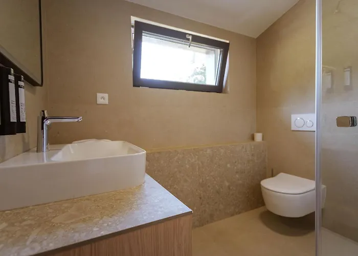 Domek alpejski Bindt