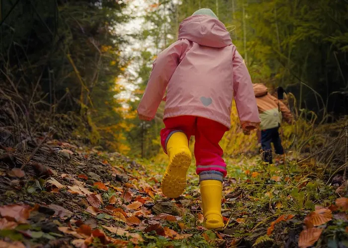 Bindt Domek alpejski *