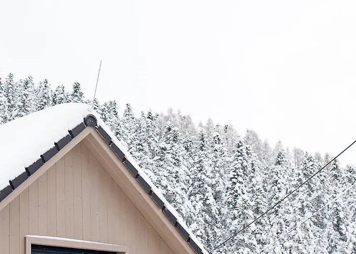 Bindt Domek alpejski