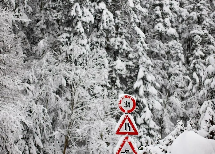 Domek alpejski Bindt *